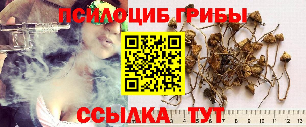 цены   Вход с VPN  Трёхгорный  Псилоцибиновые грибы мухоморы 